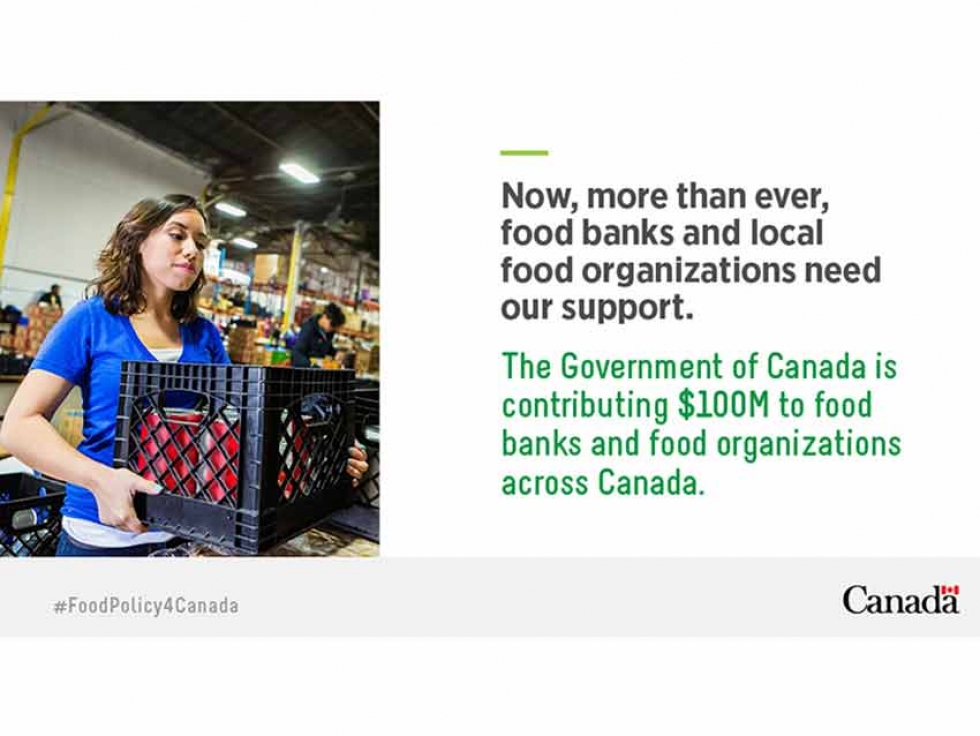Supporting Food Banks and Local Food Organizations to Address the Increase of Food Insecurity in Canada Due to COVID-19